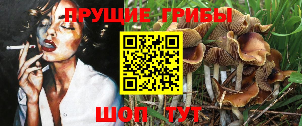 Галлюциногенные грибы мицелий  Вход с VPN  Дивногорск 