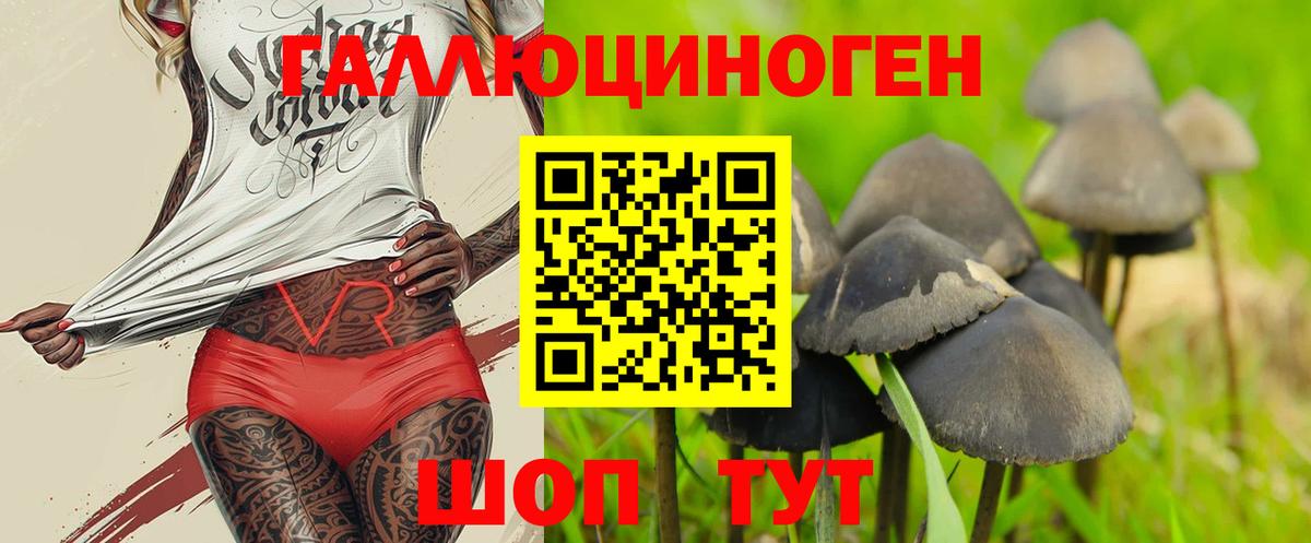 Псилоцибиновые грибы ЛСД Дивногорск